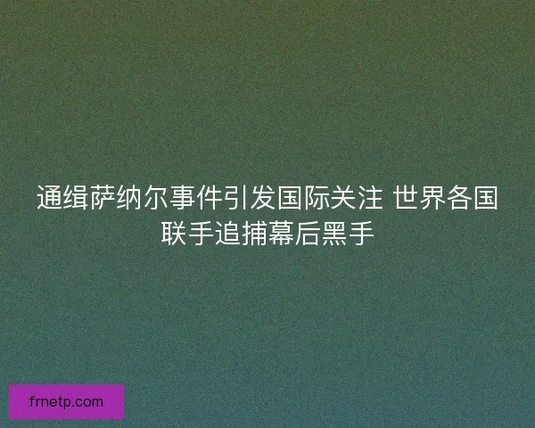 通缉萨纳尔事件引发国际关注 世界各国联手追捕幕后黑手